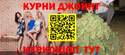 индика Дубна