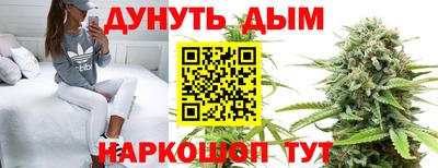 индика Дубна