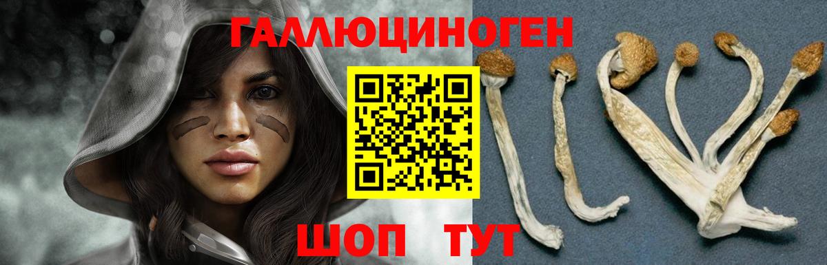 Псилоцибиновые грибы Magic Shrooms Ярославль